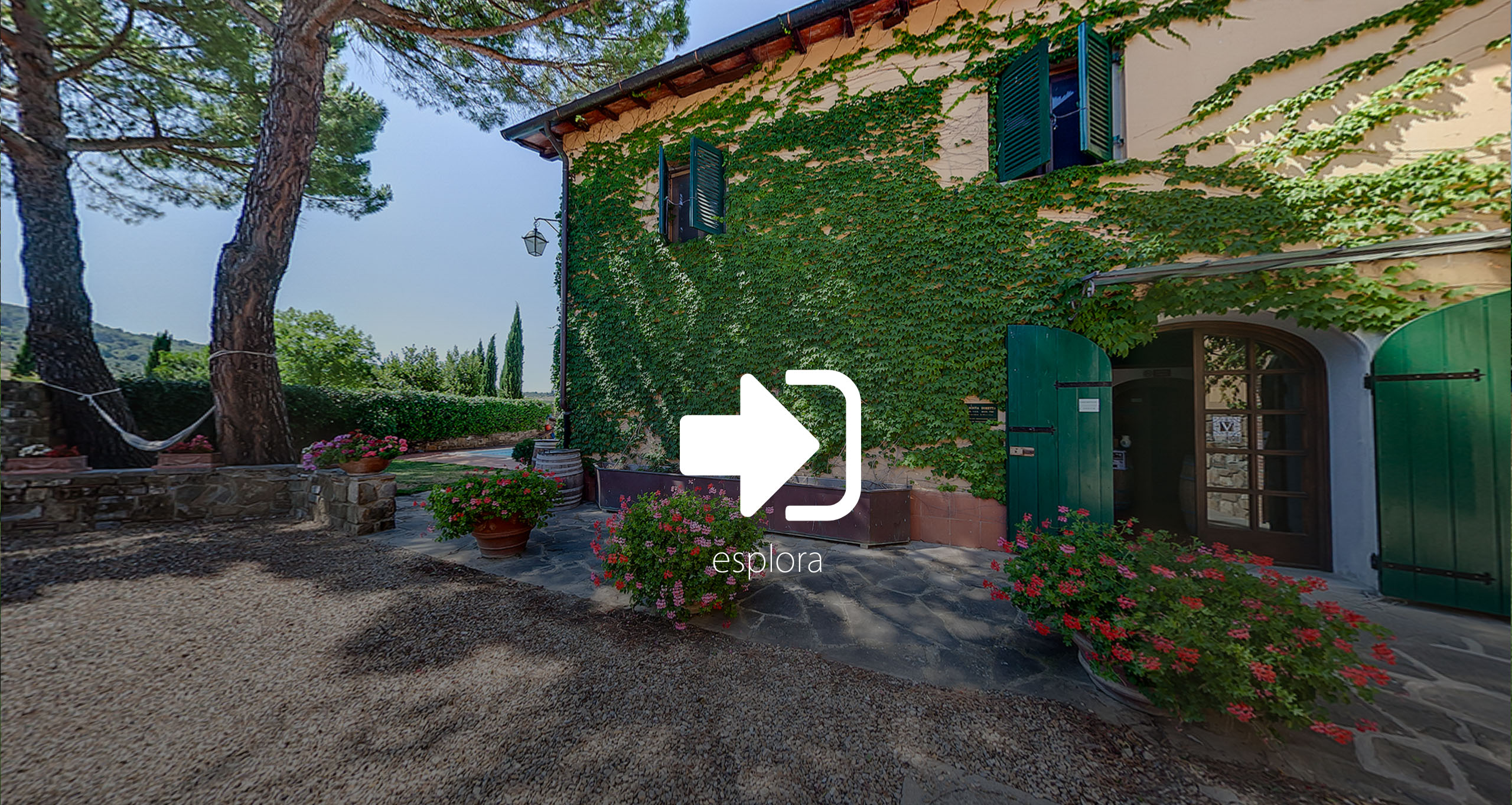 virtual tour reon studio fattoria viticcio